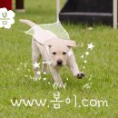 봄이 - 영등포구 | 봄이