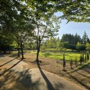 쌍암동산 이미지