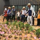 향남초등학교 이미지