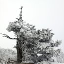 (주)천하 이미지