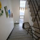 뷰66(주) 마네쿠 이미지