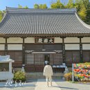 동국사 관광안내소 이미지