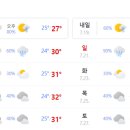 세종중앙공원 이미지