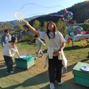 덕정 품태권도장 이미지