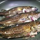 영주 매운탕 이미지