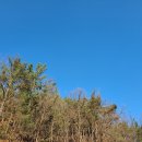 천생산 공중화장실 이미지