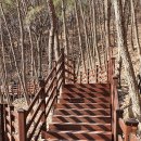 나무테크 이미지