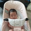 7살+274일.2024.8.31.토 이미지