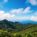 수원-0054 이미지