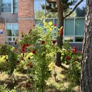 대평면다목적체육관 이미지