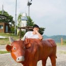 노래를 들으면 박수를 치게 되는 노래가 있고, 박수를 칠 겨를이 없는 노래가 있어요. ㅈㅇ SG워너비 김진호 이미지