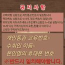 프린세스 돌스 이미지