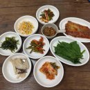 늘푸른 애견샵 이미지