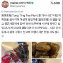 🇭🇺 성령님 또 오셨으면 좋겠다 | 치킨 파티, 성령강림일 연휴, 데브레첸 1박2일(동물원, 아쿠아티쿰, 빅...