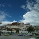 노벨라사 이미지