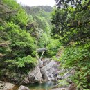 다리안 야영장 이미지