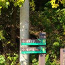 모두의짬뽕 정관점 이미지