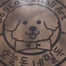 오늘독 이미지