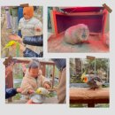 시민체육관(본관 외부화장실) | 경주 아기랑 실내 가볼만한곳 버드파크 후기 │ 24개월 무료, 카피바라도 있어요