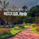 선재어린이집 이미지
