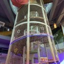 도도리 | 세종 육아맘 추천! 도도리파크 &amp; 기림목장 카페 솔직 후기