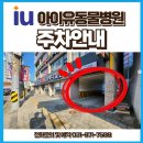 동물병원 The 개치동 | 수술 후기 : 십자인대 파열 / CTWO 수술 / 강아지 / 의정부 24시 아이유 동물 메디컬 센터