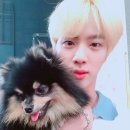 석진이네 이미지