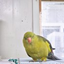 황태자농장 이미지