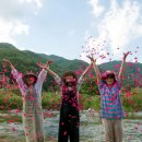 풍차마을 민박 이미지