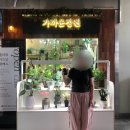 능소화꿈나무 | 송이버섯이 그렇게 맛있는 것인지 한번 잘 생각해보자