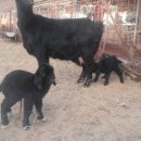 이천제이농장 이미지