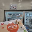 트레이더스 홀세일클럽(송림점) | 주차하기 편한 트레이더스 홀세일클럽 송림점 주말 나들이