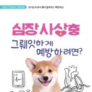오션시티동물병원 이미지