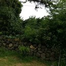 성산농장3 이미지