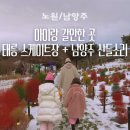 별내빙상장 1층 | 남양주 아이랑 갈만한 곳 산들소리수목원 + 태릉 선수촌 스케이트장