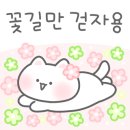 나금정뷰티샵