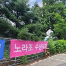 가평빠지 가평수상레저 노라조 여름물놀이 추천
