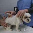 혜민동물병원 이미지