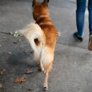 신호동물병원 이미지