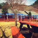 하늘아래 첫동네 꿩밭 이미지