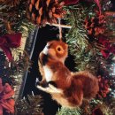 지리산 대경캠핑장 이미지