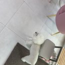 율하카페거리 김해 속눈썹 잘하는 뷰티샵 르블랑 솔직후기