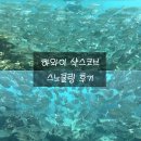 파크(Park)727 | 하나우마베이 왜가? 하와이 가장 황홀한 기억 No.1 “샥스코브” 스노쿨링 주차/샤워/준비물/복장...