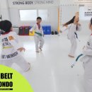 블랙벨트 태권도장 이미지