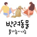 더힐링식물원야영장 네이버블로그
