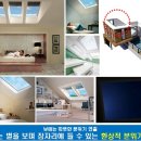 더시크릿