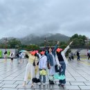 여주-0619 | 2022 주간조이 스물네번째 0613~0619