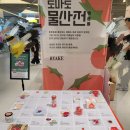 토마토 물산전 토마토 가득한 서울 9월 팝업스토어 사전예약 선물 방문 후기