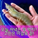 신안 흰다리새우, 삶의 질 상승템! 제철 왕새우로 맛보는 특별한 식탁