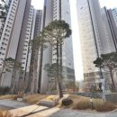 잠원동014 네이버블로그